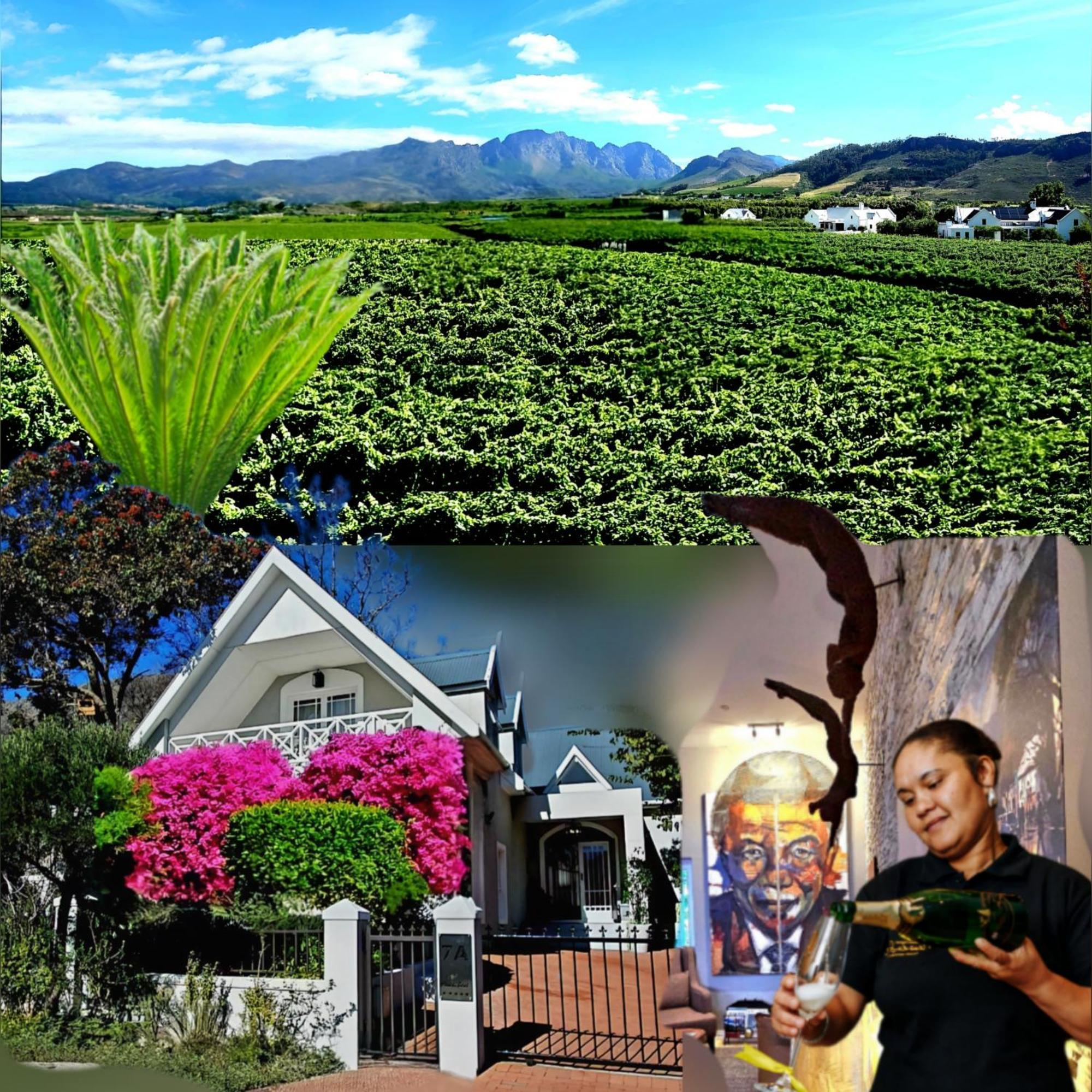 Fleur du Soleil Luxury Guesthouse Franschhoek Eksteriør billede